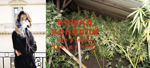 стафф Няндома