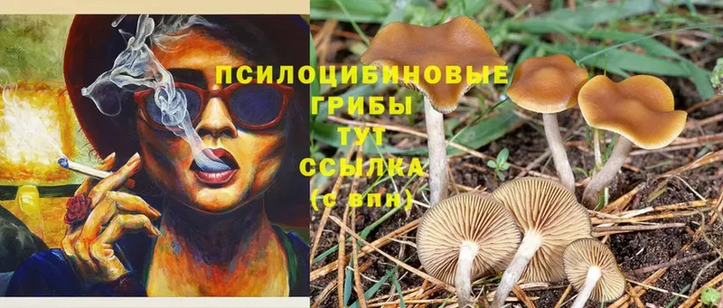 мега ссылка  Оханск  Псилоцибиновые грибы MAGIC MUSHROOMS 