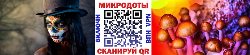 KRAKEN зеркало наркошоп Оханск Галлюциногенные грибы Cubensis